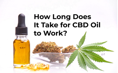 HOW LONG DOES IT TAKE FOR CBD OIL TO WORK