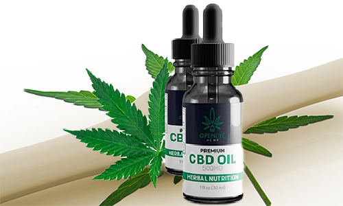 CBD Heal Bones