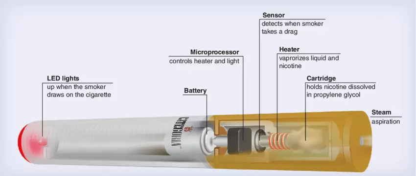 Structure of the Vape Device