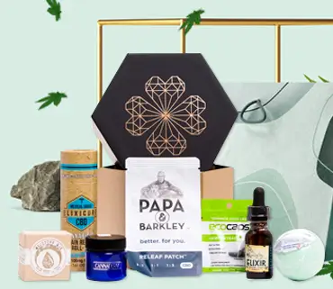 Let's Find the 10 Best CBD Subscription Boxes for Alternative Health