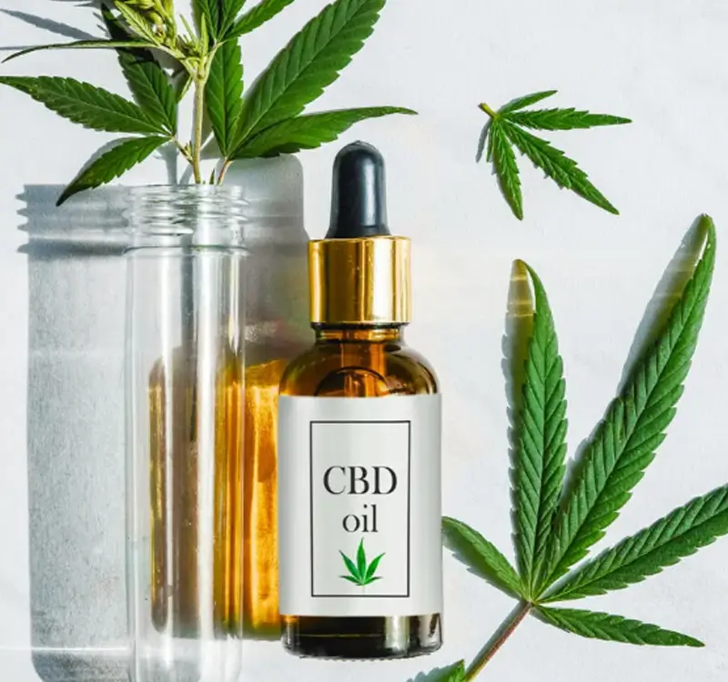 Can CBD Change Your Life?