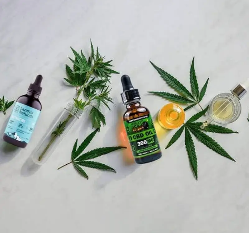 Can CBD Change Your Life?