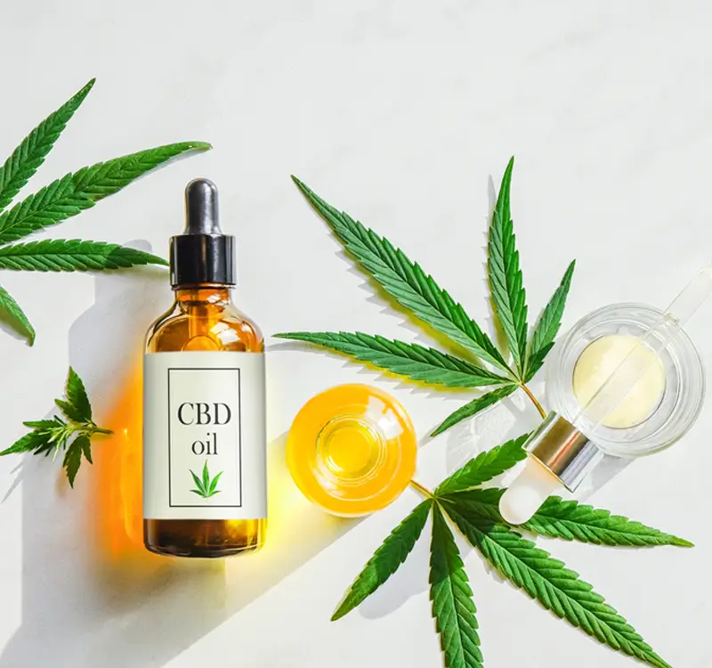 What CBD Oil Has To Offer