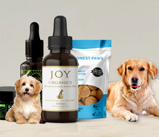 Best CBD Oil for Dogs with Seizures